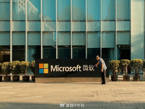 专业IT外包公司在微软365部署与运维中的优势